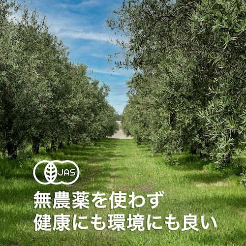 Antología JAS Organic Extra Virgin Olive Oil Recommended. Polyphenol 3 times Acidity 0.1. olive oil genuine spain 